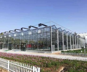 花卉大棚