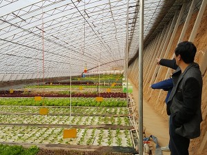 種養(yǎng)結(jié)合循環(huán)農(nóng)業(yè)建設(shè)的重要性和緊迫性