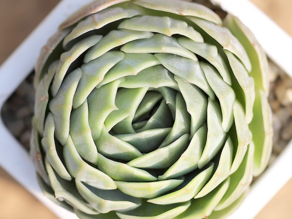 狀態(tài)昂斯諾